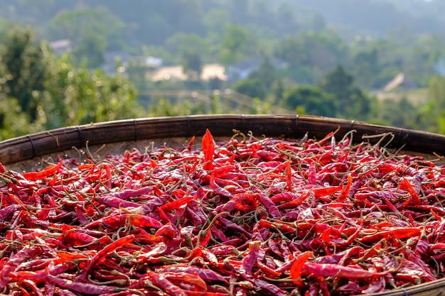 Close up dried red chili peppers In wooden container