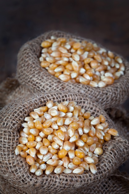 Close up of the dry corn kernels in hemp sacks.