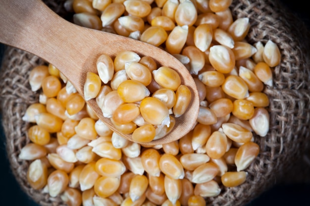 Close up dry corn kernels in wooden spoon and hemp sacks, take a photo on top view.