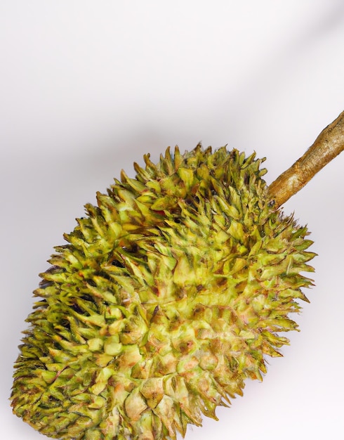 Close up of durian fruit on white background created using generative ai technology