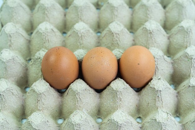 Close-up of eggs