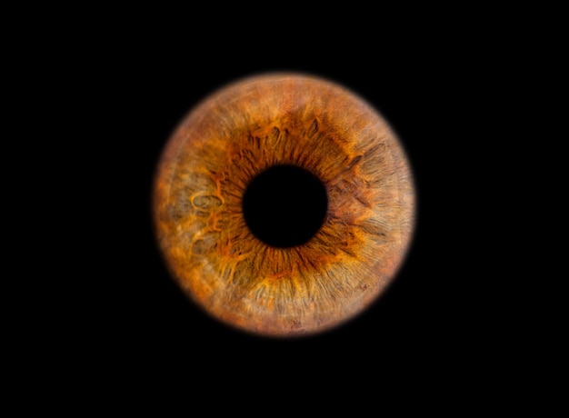 close up of an eye iris on black wall