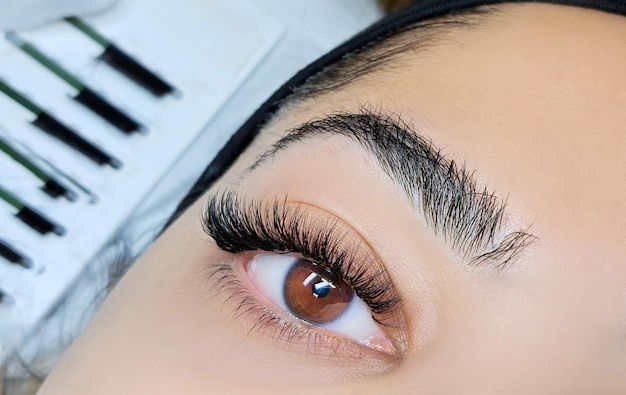 Close up of eye with eyelash extensions in beauty salon macro eye top view