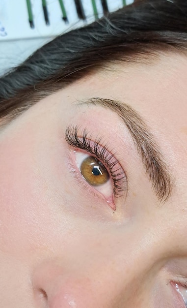 Close up of eye with eyelash extensions in beauty salon macro eye top view