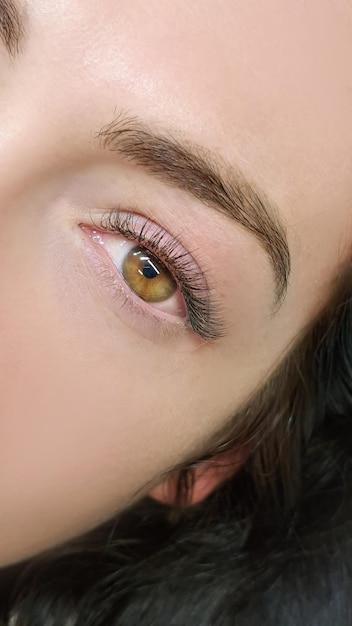 Close up of eye with eyelash extensions in beauty salon macro eye top view