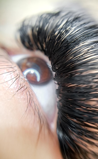 Close up of eye with eyelash extensions in beauty salon macro eye top view