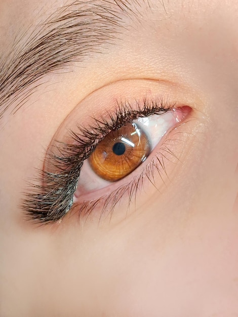 Close up of eye with eyelash extensions in beauty salon macro eye top view