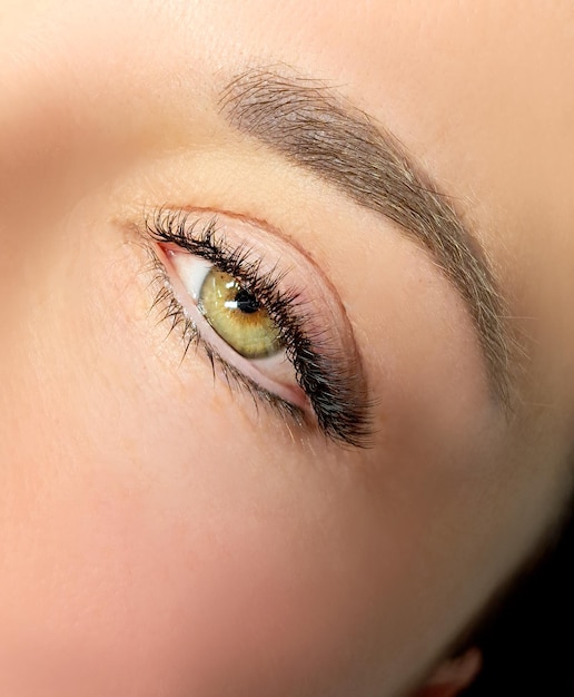 Close up of eye with eyelash extensions in beauty salon macro eye top view