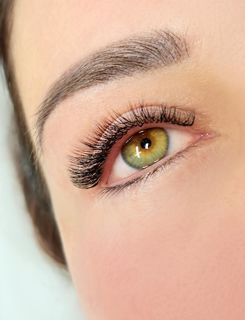 Close up of eye with eyelash extensions in beauty salon macro eye top view