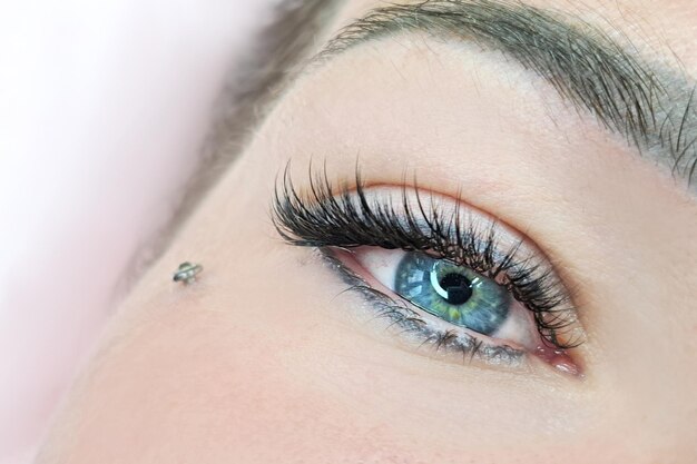 Close up of eye with eyelash extensions beauty salon treatment