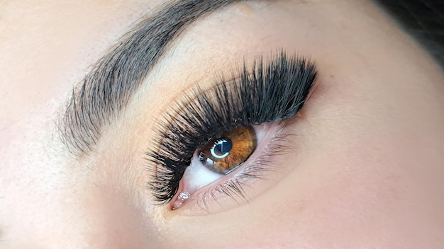 Close up of eye with eyelash extensions beauty salon treatment