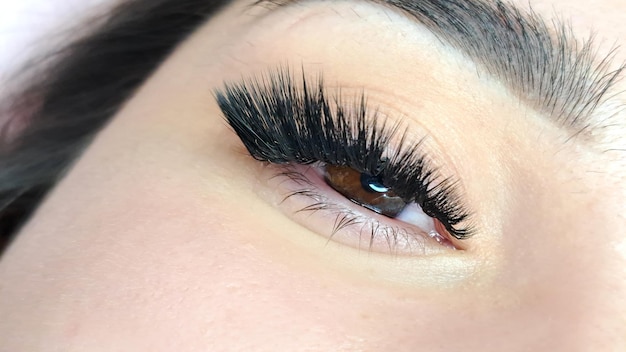 Close up of eye with eyelash extensions beauty salon treatment