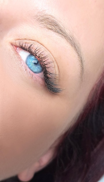 Close up of eyelash extensions in beauty salon macro eye