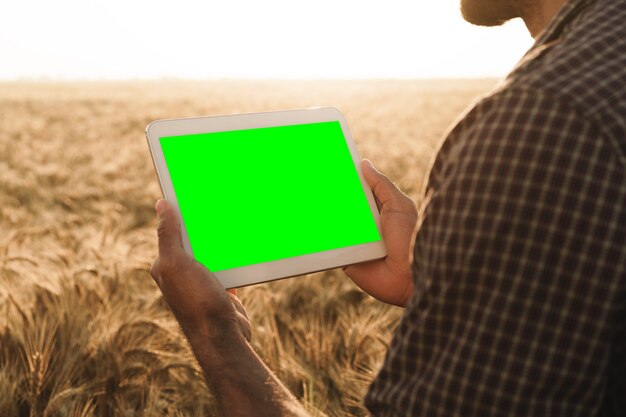 Close up of farmers hands holding tablet with green screen in wheat field