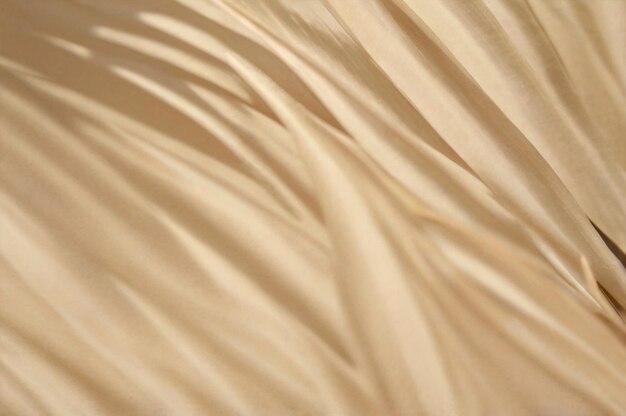 Photo a close up of a feather on a table