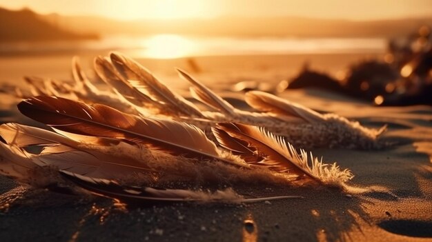 A close up of feathers on a beach at sunsetgenerative ai