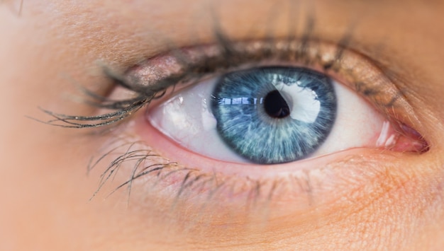 Close up of female blue eye