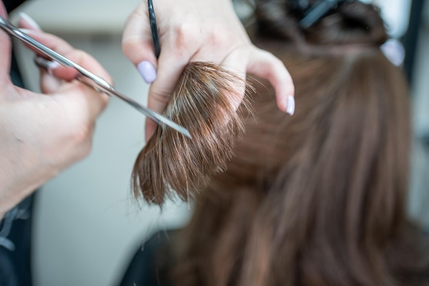 Close up of female hairdresser makes hairstyle on brunette woman in salon cutting hair with scissors