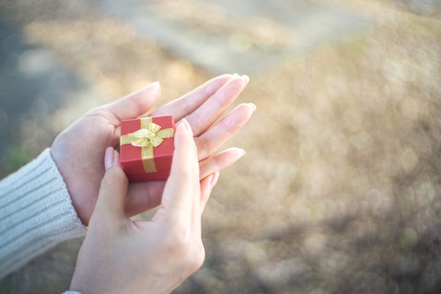 Close up of female hands holding a christmas decorations, a small gift box.