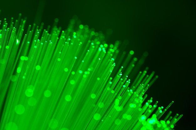 Close up on fiber optics - Shallow depth of field