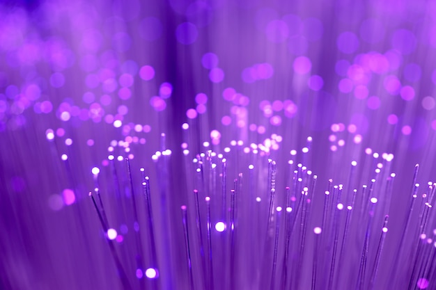 Close up on fiber optics - Shallow depth of field