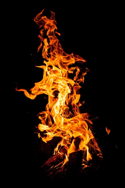 Close-up of fire against black background