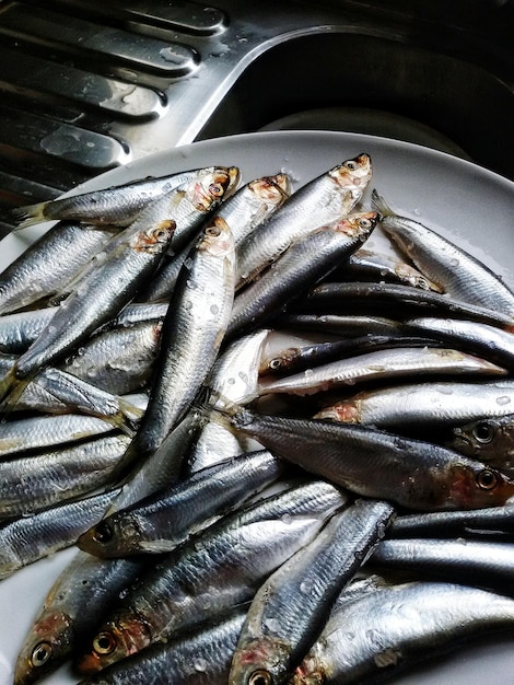 Close-up of fish for sale