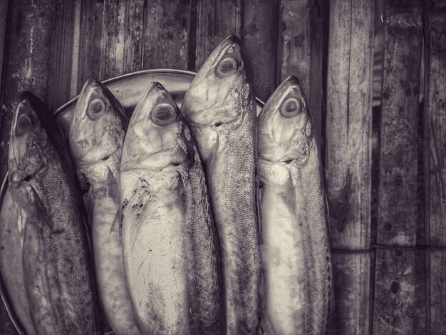 Photo close-up of fish sculpture on wood