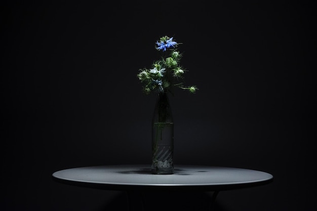 Photo close-up of flower vase on table against black background