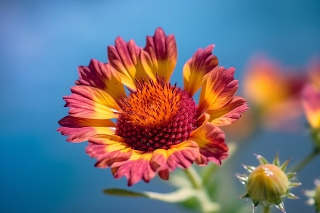 A close up of a flower