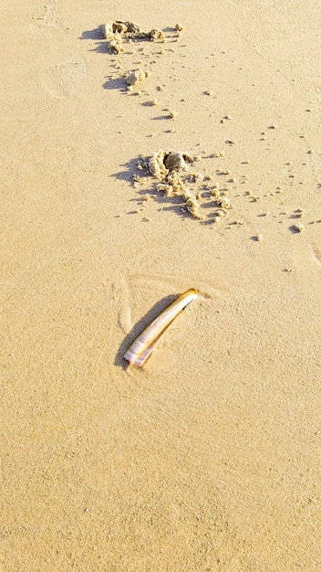 Photo close-up of footprints on sand at beach