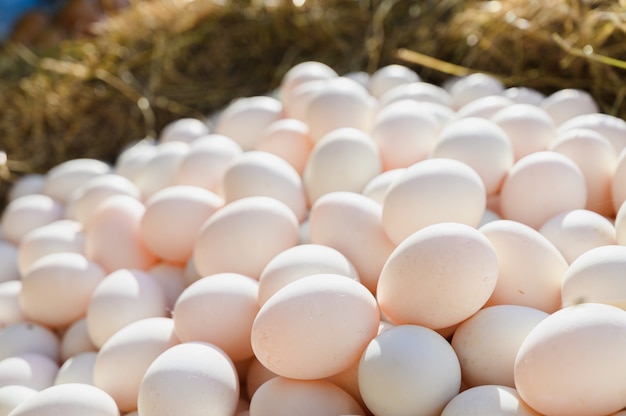 Close up of fresh Duck Eggs on Hay