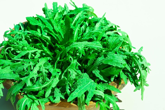 Close up of fresh green arugula with water drops Arugula rucola for salad Close up of fresh green healthy food