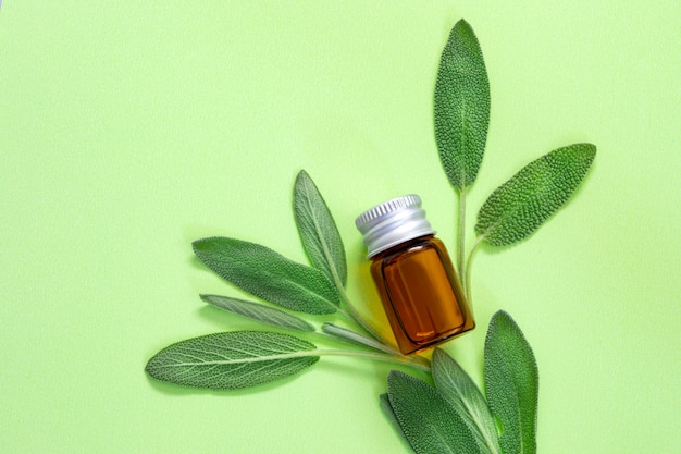 Close up fresh green sage herb leaf with bottle of essential oil on green background