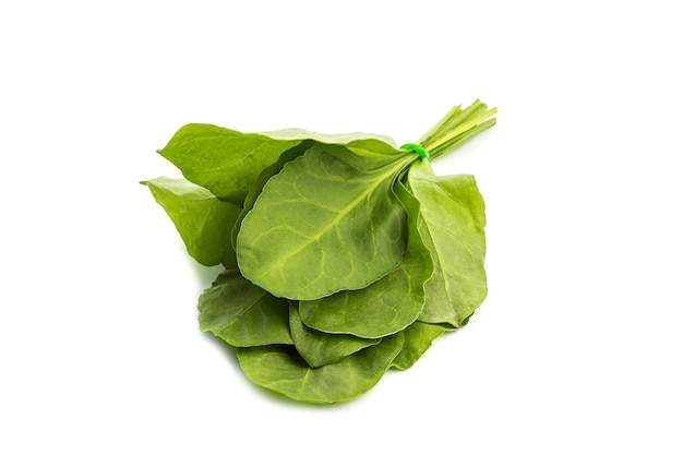 Close up of fresh green spinach isolated on white background