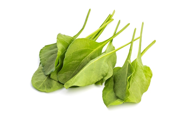 Close up of fresh green spinach isolated