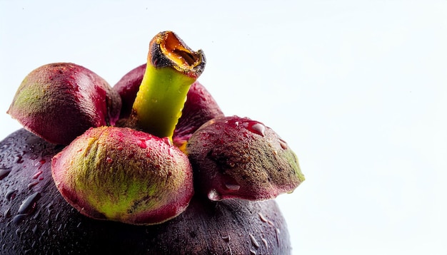 Photo close up fresh mangosteen texture on white background