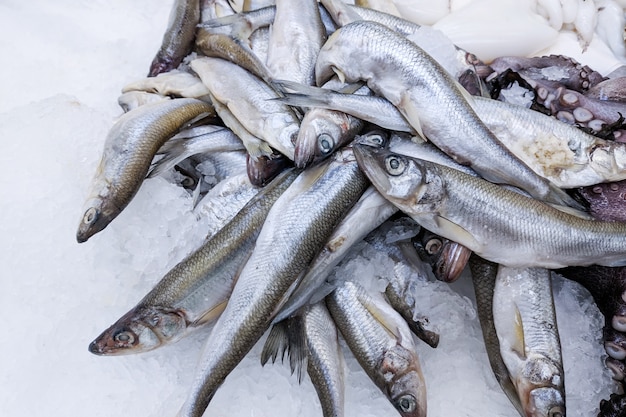 Close up, Fresh organic fishes sprat on ice on fresh market