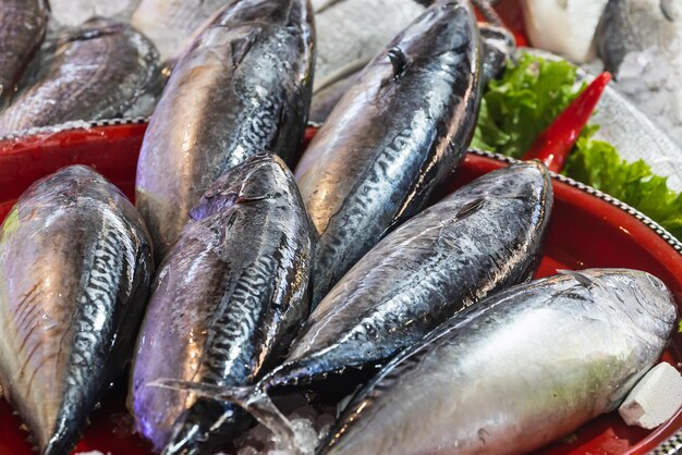 Close-up, fresh organic mackerel fish in the fresh market, background. Texture of sea fish. Lots of organic sea sprat