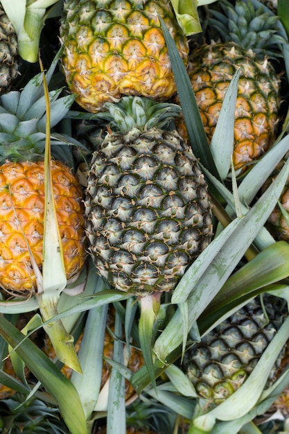 Close up of fresh pineapple fruit, selective focus.