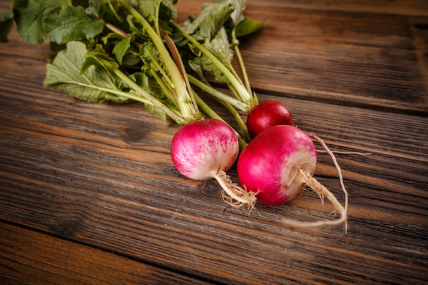 Close up of fresh radishes