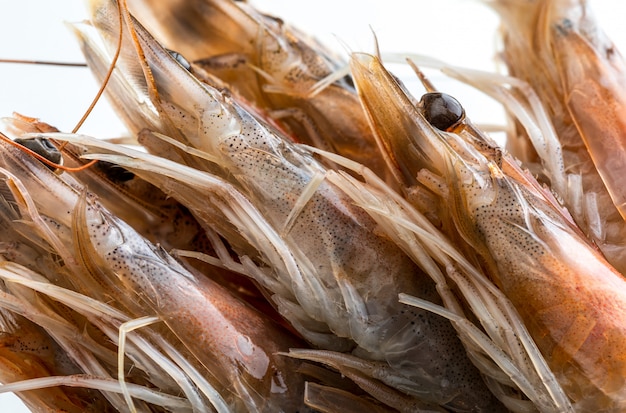 Close-up of fresh, raw and whole prawns. 