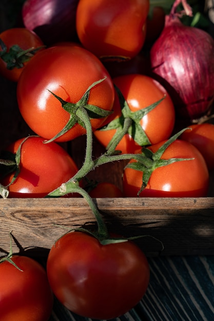 Close-up of fresh, ripe tomatoes and purple onion