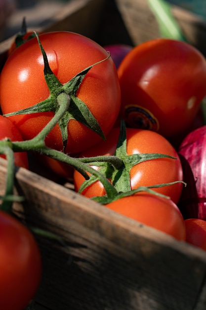 Close-up of fresh, ripe tomatoes and purple onion