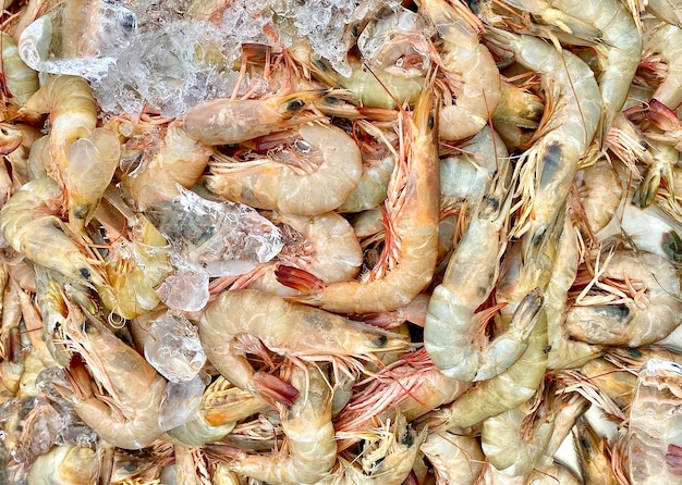 Close-up Fresh shirmp or prawn  with shell at local seafood market for sale,Fresh shirmps or prawns