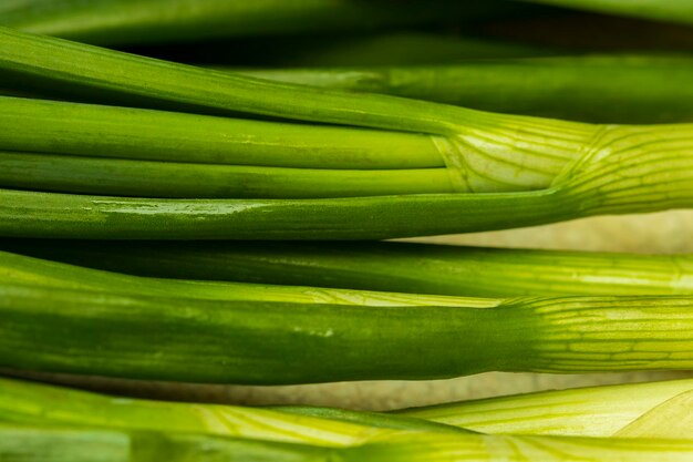 Close up fresh young onion,bunch of fresh shallots,Fresh chives, fresh young onion,green onions feathers heap macro surface texture,Bunches of spring green shallots scallion onions.