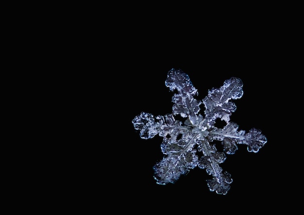 Photo close-up of frozen water against black background