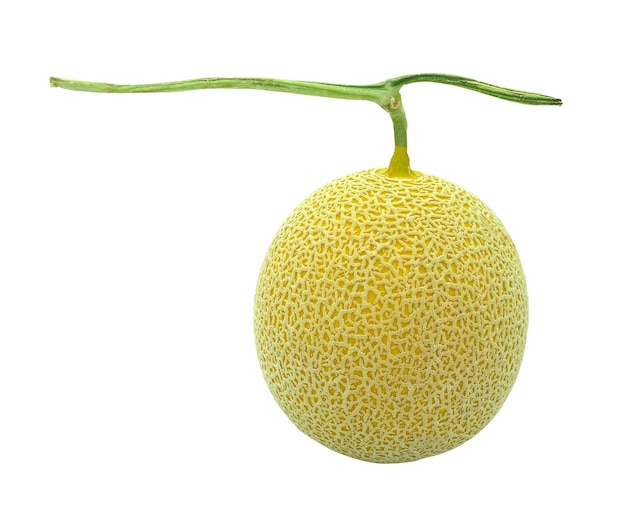 Close-up of fruit against white background