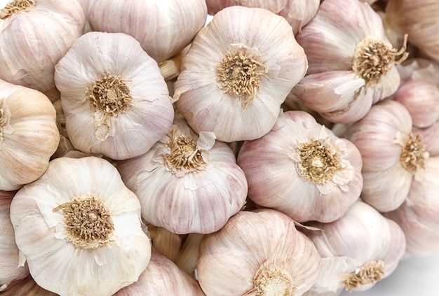 close up of garlic 