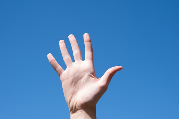 Close up gesture of female hand showing five fingers, open female palm isolated on blue sky background